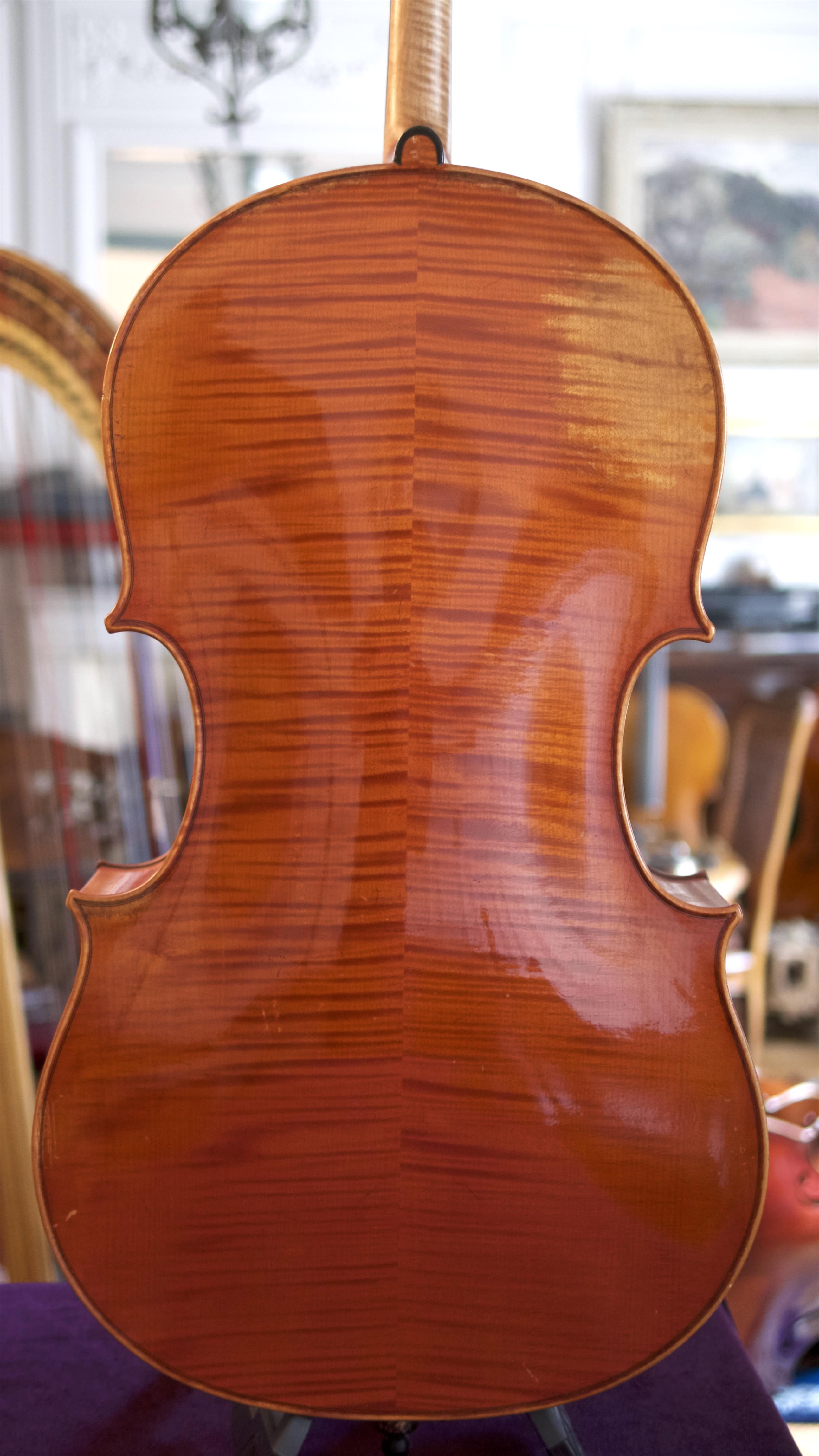 Cello-Giuseppe-Oranti-Back Cello Collection