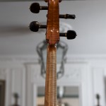 Cello-Mefistofele-NEck Cello Collection